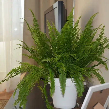 K 2 Апартаменты *