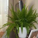 K 2 Apartament *
